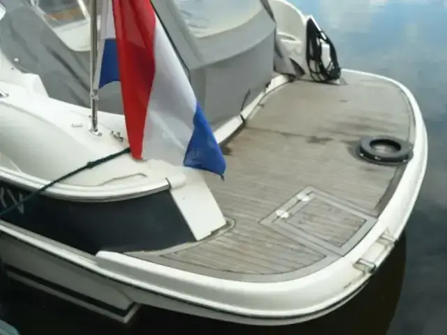 Bavaria Sport 33