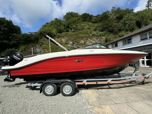 Sea Ray 210 SPX Outboard