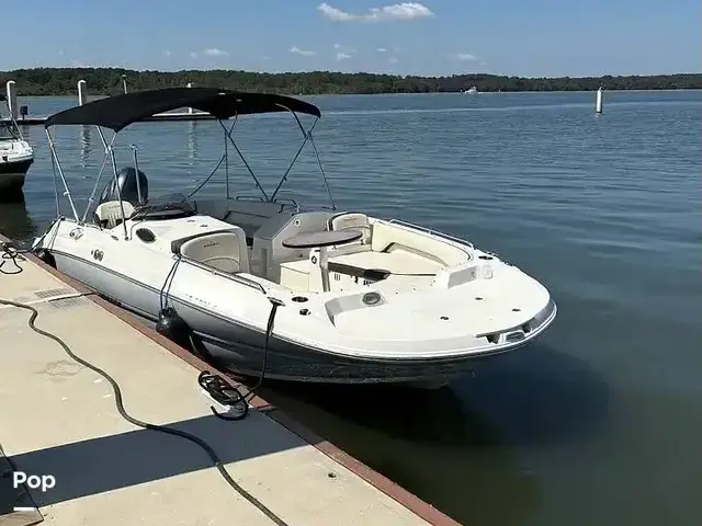 Stingray 212 SC