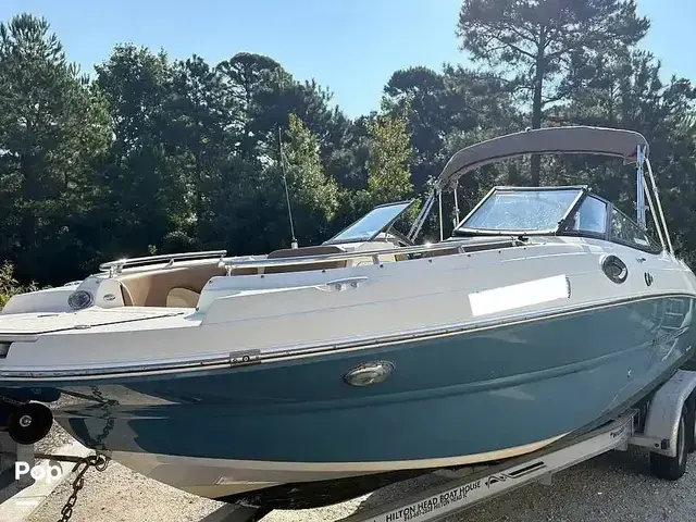 Stingray 231 DC