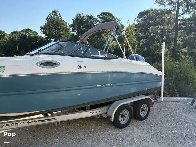 Stingray 231 DC