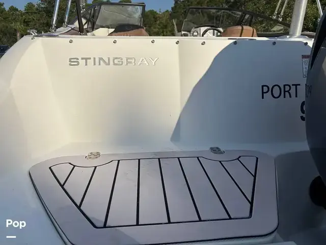 Stingray 231 DC