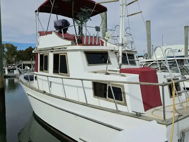 Trader 34