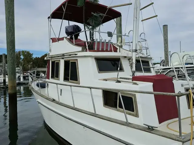 Trader 34