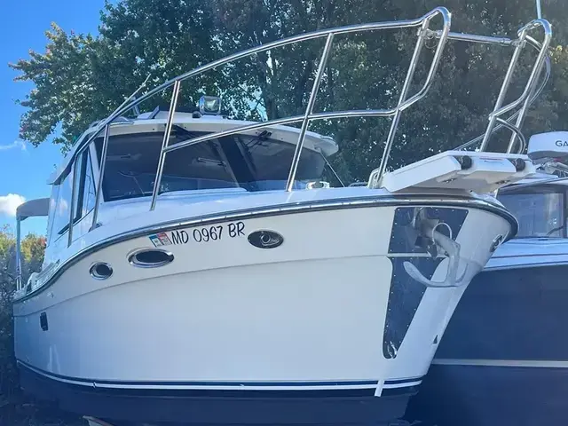 Cutwater 28 Luxury Edition