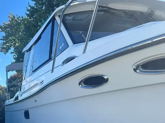 Cutwater 28 Luxury Edition