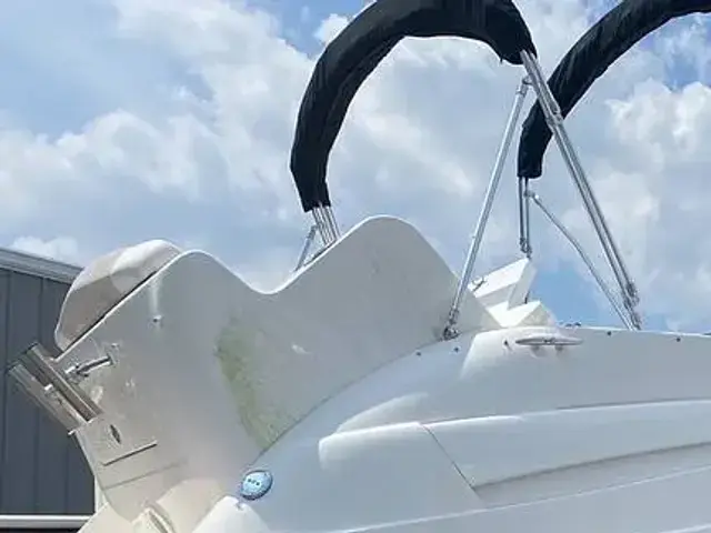 Sea Ray 240 Sundancer