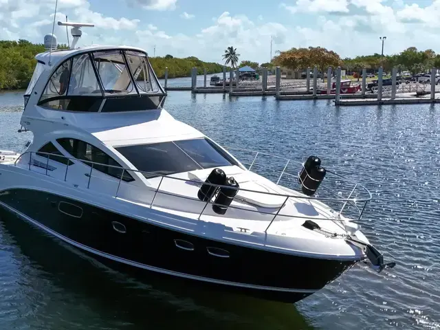 Sea Ray Sedan Bridge 450