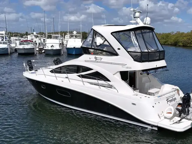 Sea Ray Sedan Bridge 450