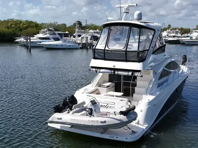 Sea Ray Sedan Bridge 450