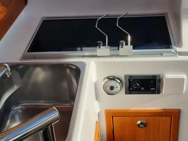 Sargo 31