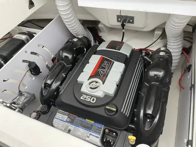 Sea Ray 230 Spx