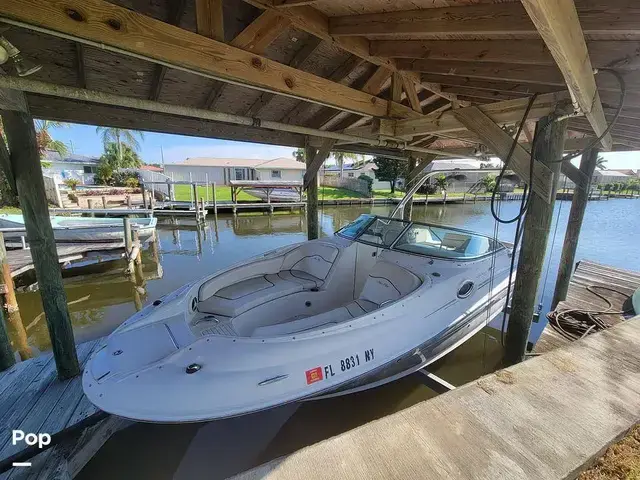 Sea Ray Sundeck 240