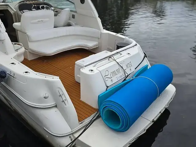 Sea Ray 310 Sundancer