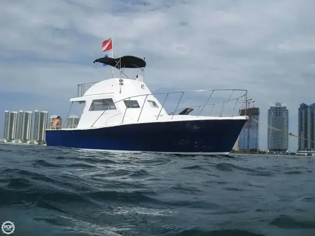 Ensign 36' Custom Dive Boat