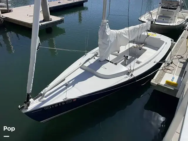 Schock Harbor 20