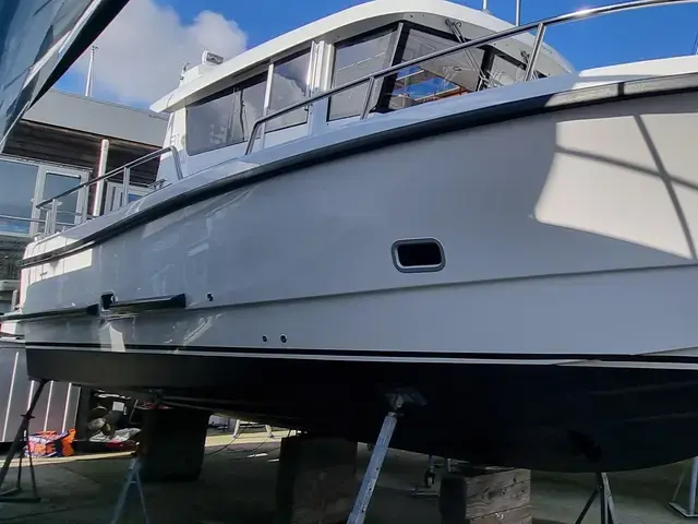 Sargo 31