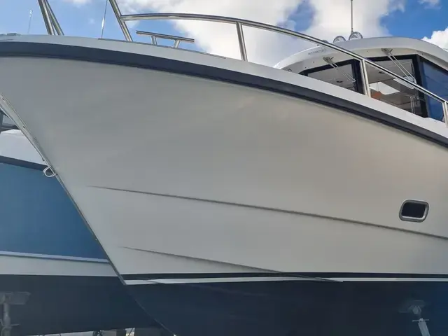 Sargo 31