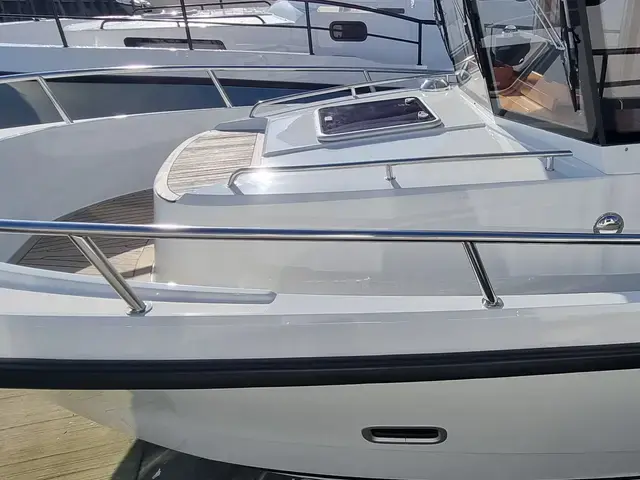 Sargo 31