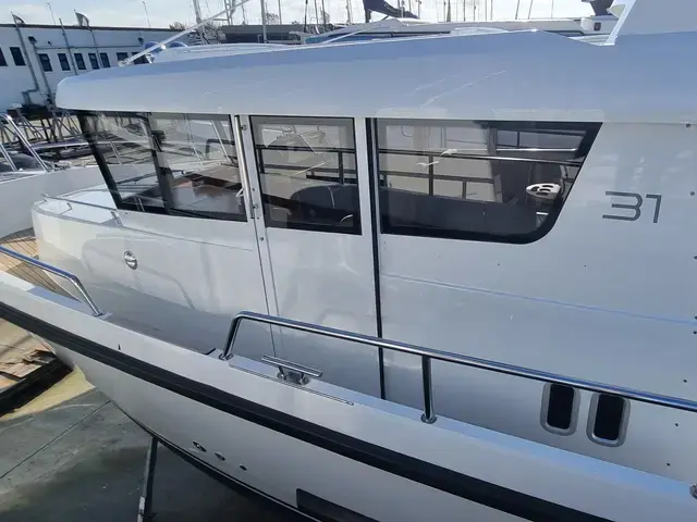 Sargo 31