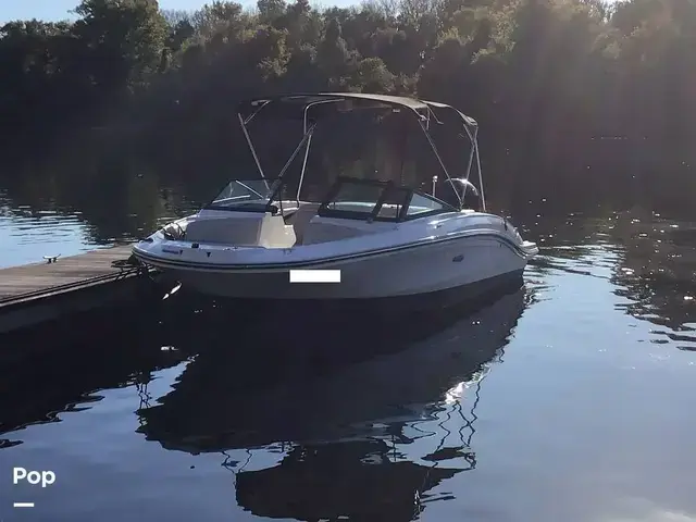 Sea Ray 210 SPX Outboard