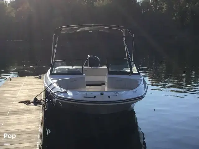 Sea Ray 210 SPX Outboard