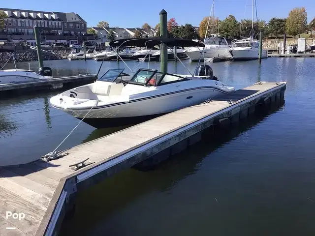 Sea Ray 210 SPX