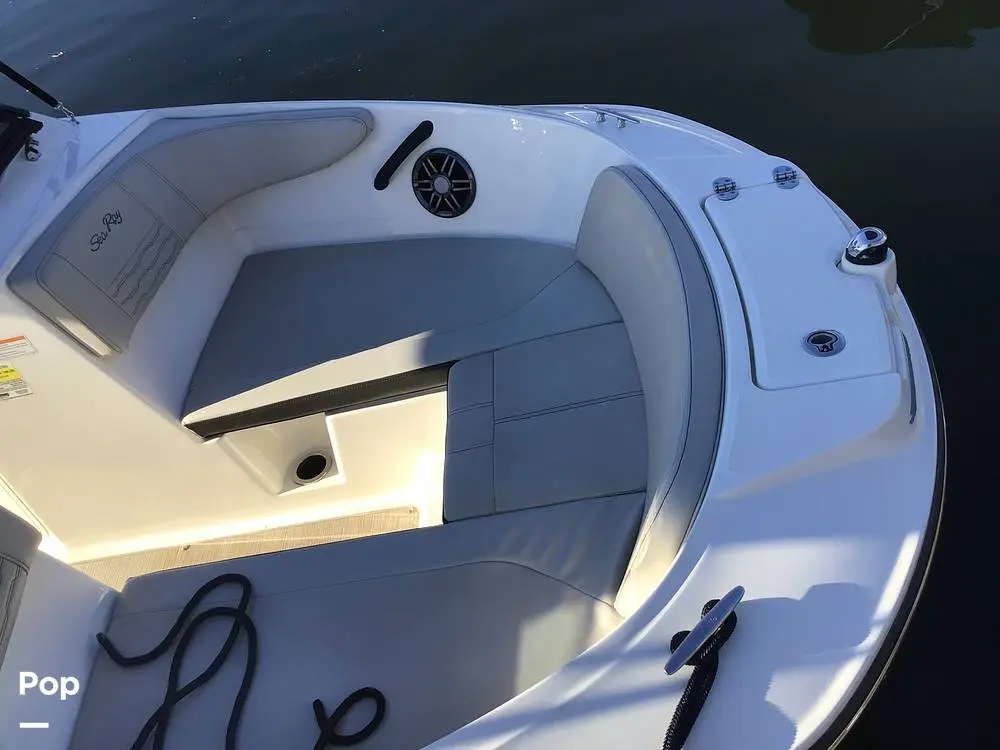 2023 Sea Ray 210 spx outboard