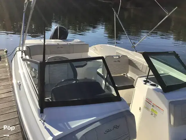 Sea Ray 210 SPX Outboard