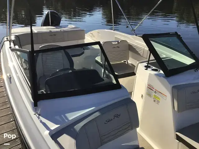 Sea Ray 210 SPX Outboard