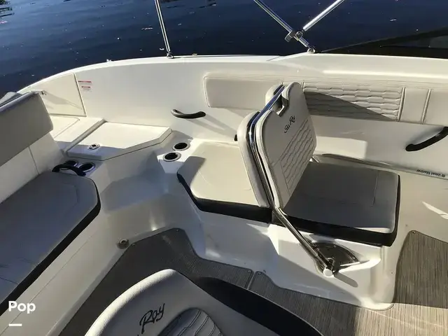 Sea Ray 210 SPX Outboard