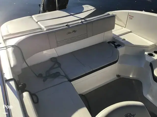 Sea Ray 210 SPX Outboard