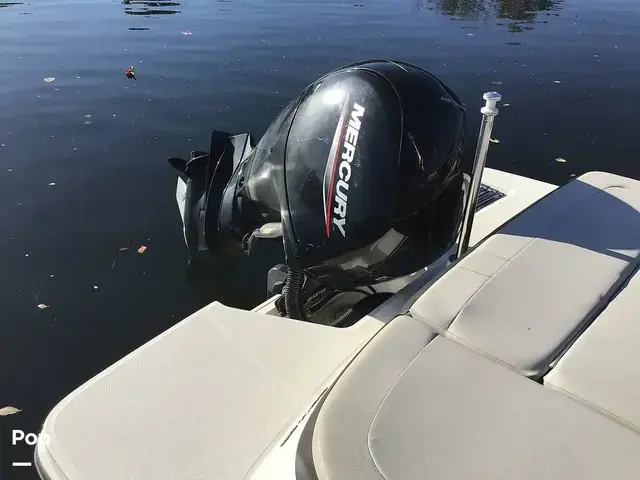 Sea Ray 210 SPX Outboard