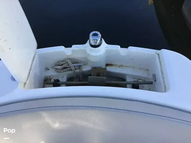 Sea Ray 210 SPX Outboard