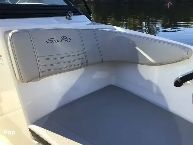 Sea Ray 210 SPX Outboard