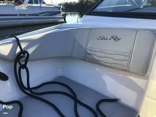 Sea Ray 210 SPX Outboard