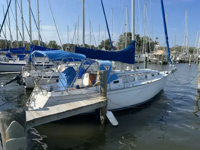 Sabre 32