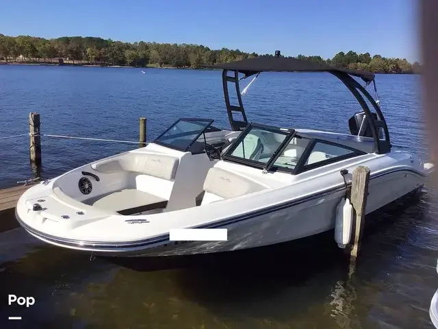 Sea Ray 210 SPX Outboard