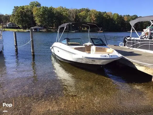 Sea Ray 210 SPX Outboard