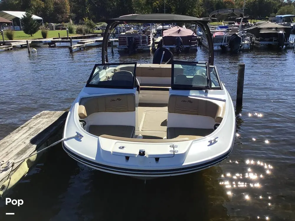 2023 Sea Ray 210 spx outboard