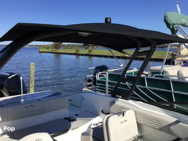 Sea Ray 210 SPX Outboard