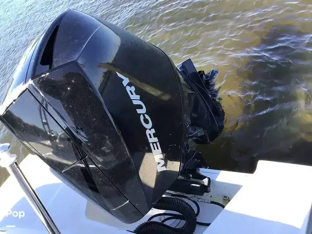 Sea Ray 210 SPX Outboard