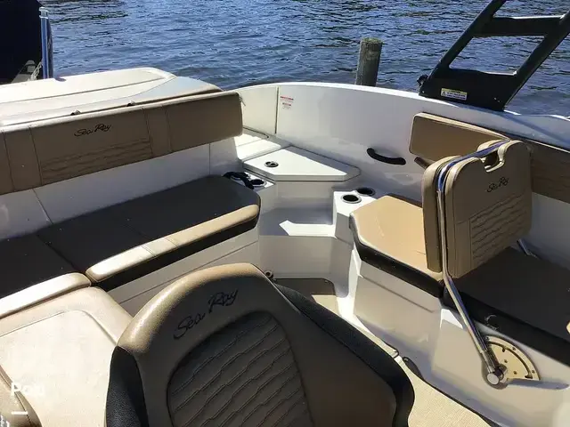 Sea Ray 210 SPX Outboard