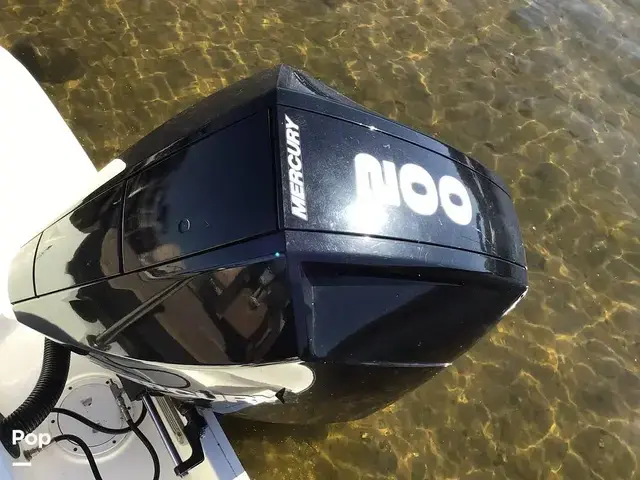 Sea Ray 210 SPX Outboard