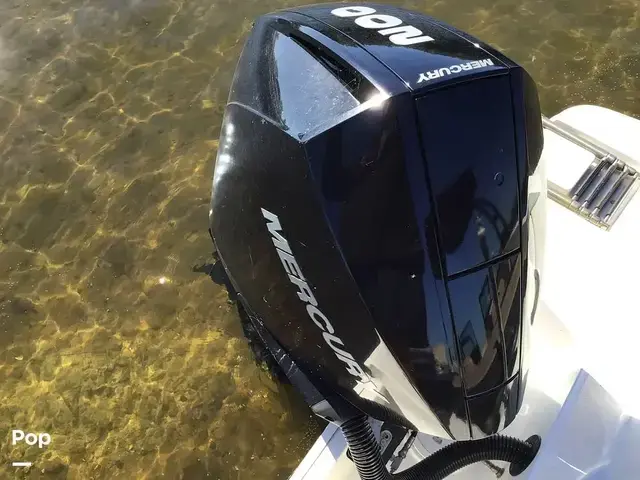 Sea Ray 210 SPX Outboard