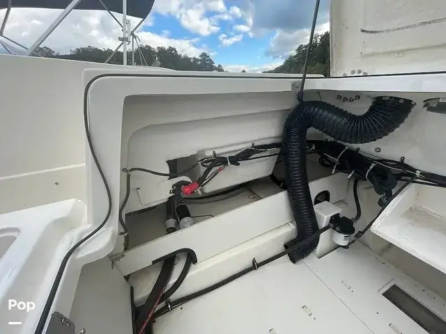 Bayliner VR6 OB