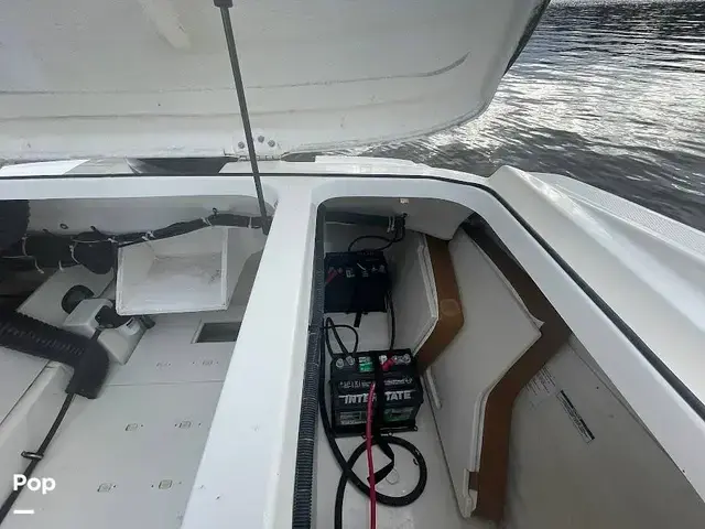 Bayliner VR6 OB