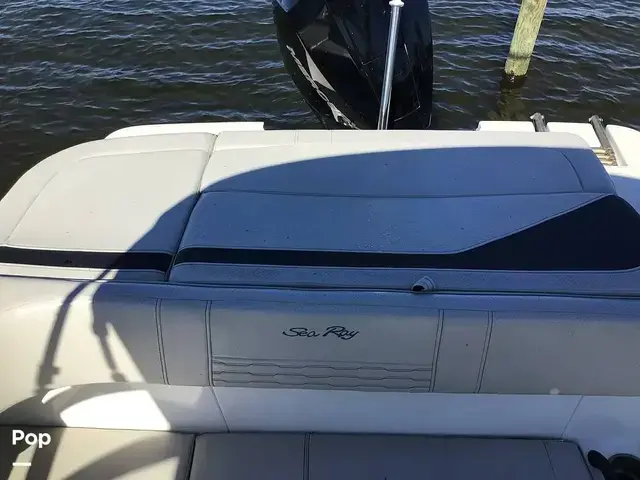 Sea Ray 210 SPX Outboard