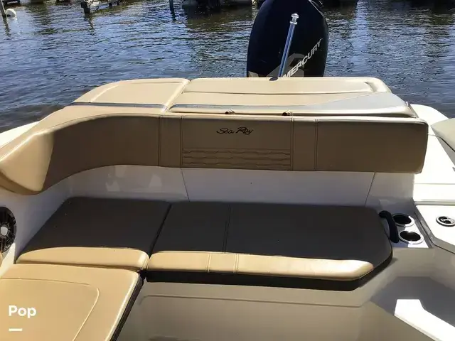 Sea Ray 210 SPX Outboard