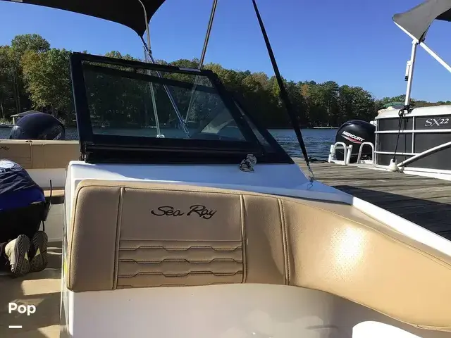 Sea Ray 210 SPX Outboard